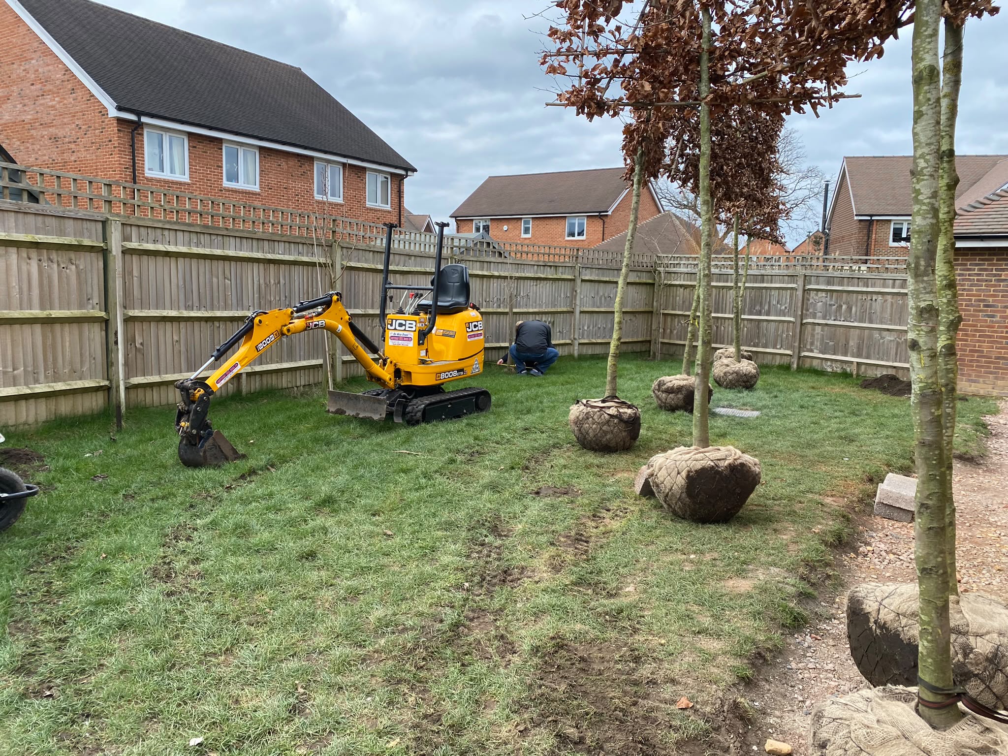 Tree surgery work photo 61