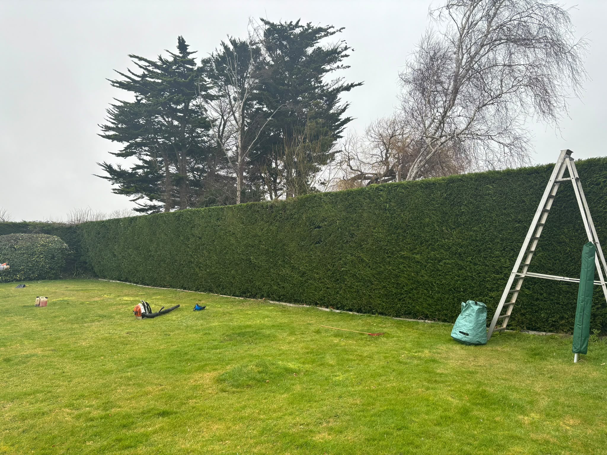 Tree surgery work photo 108