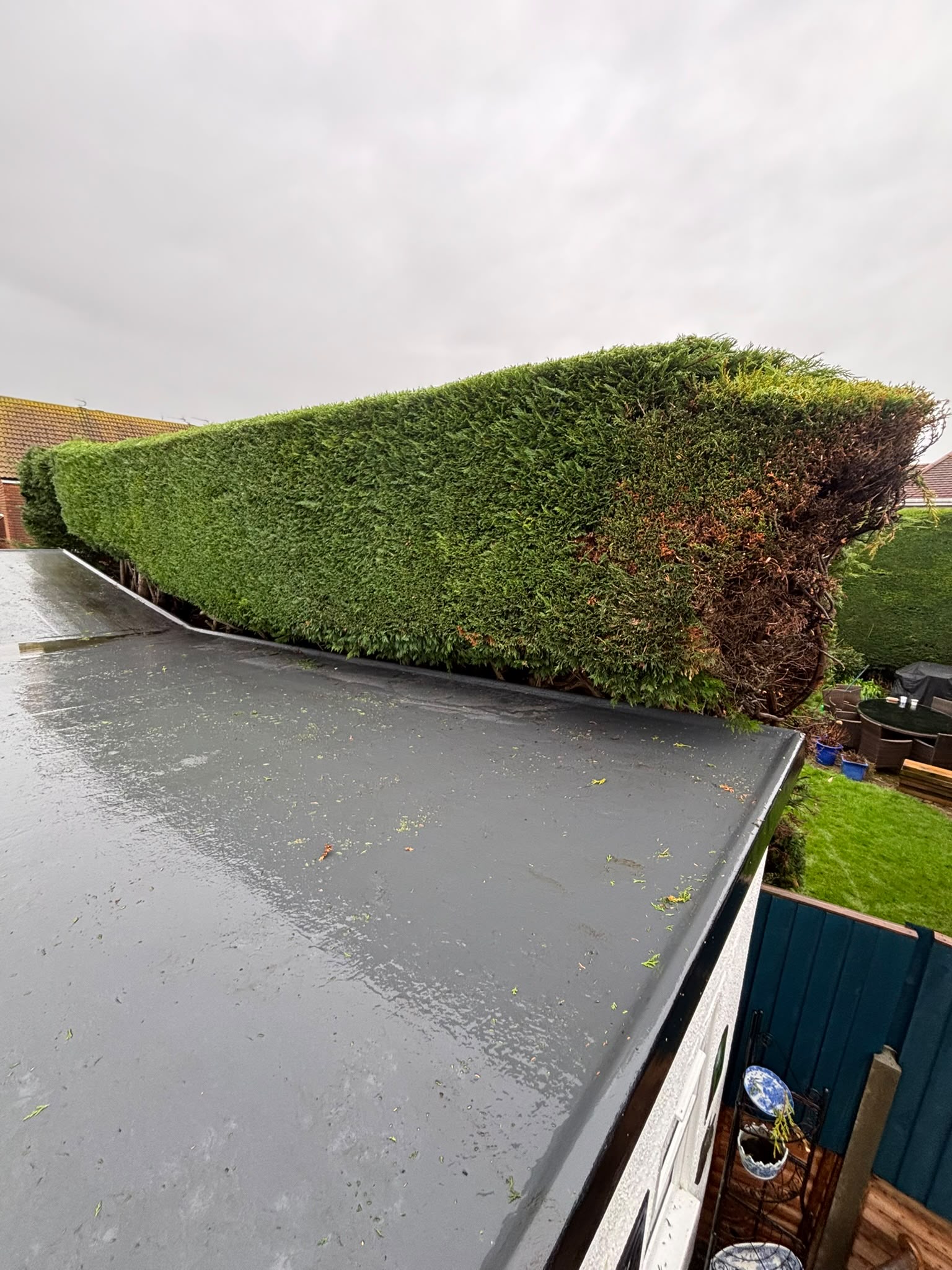 Tree surgery work photo 192