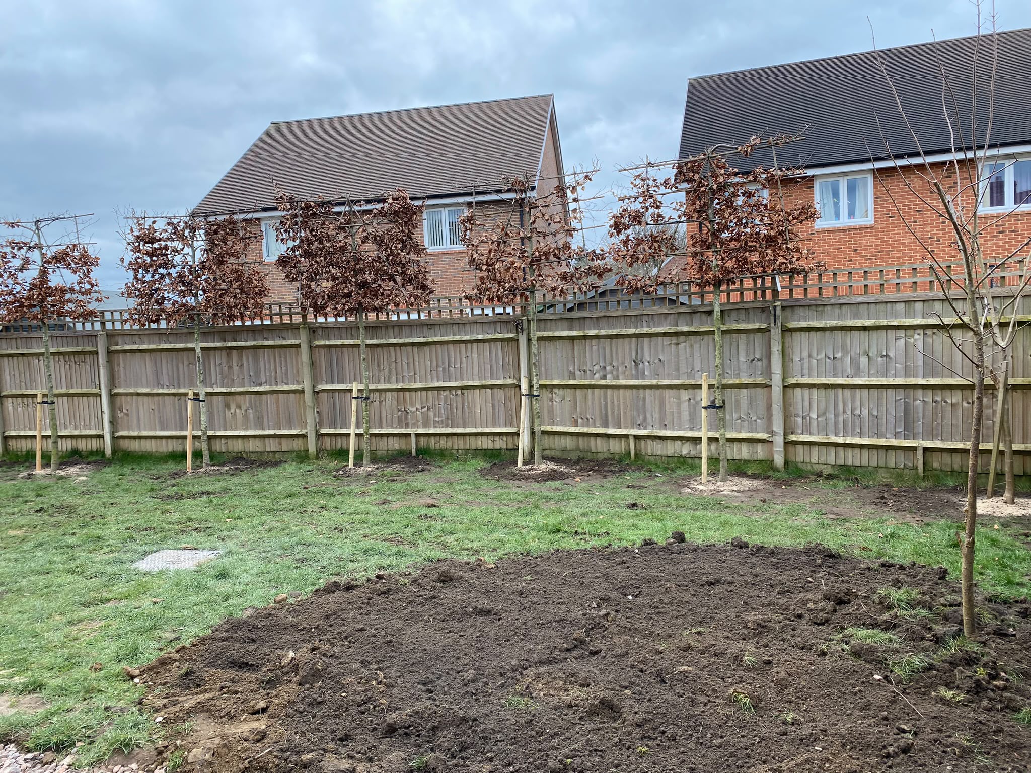 Tree surgery work photo 62