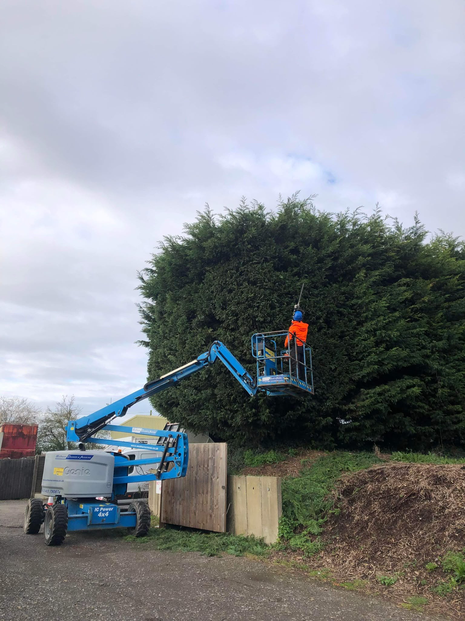 Tree surgery work photo 75