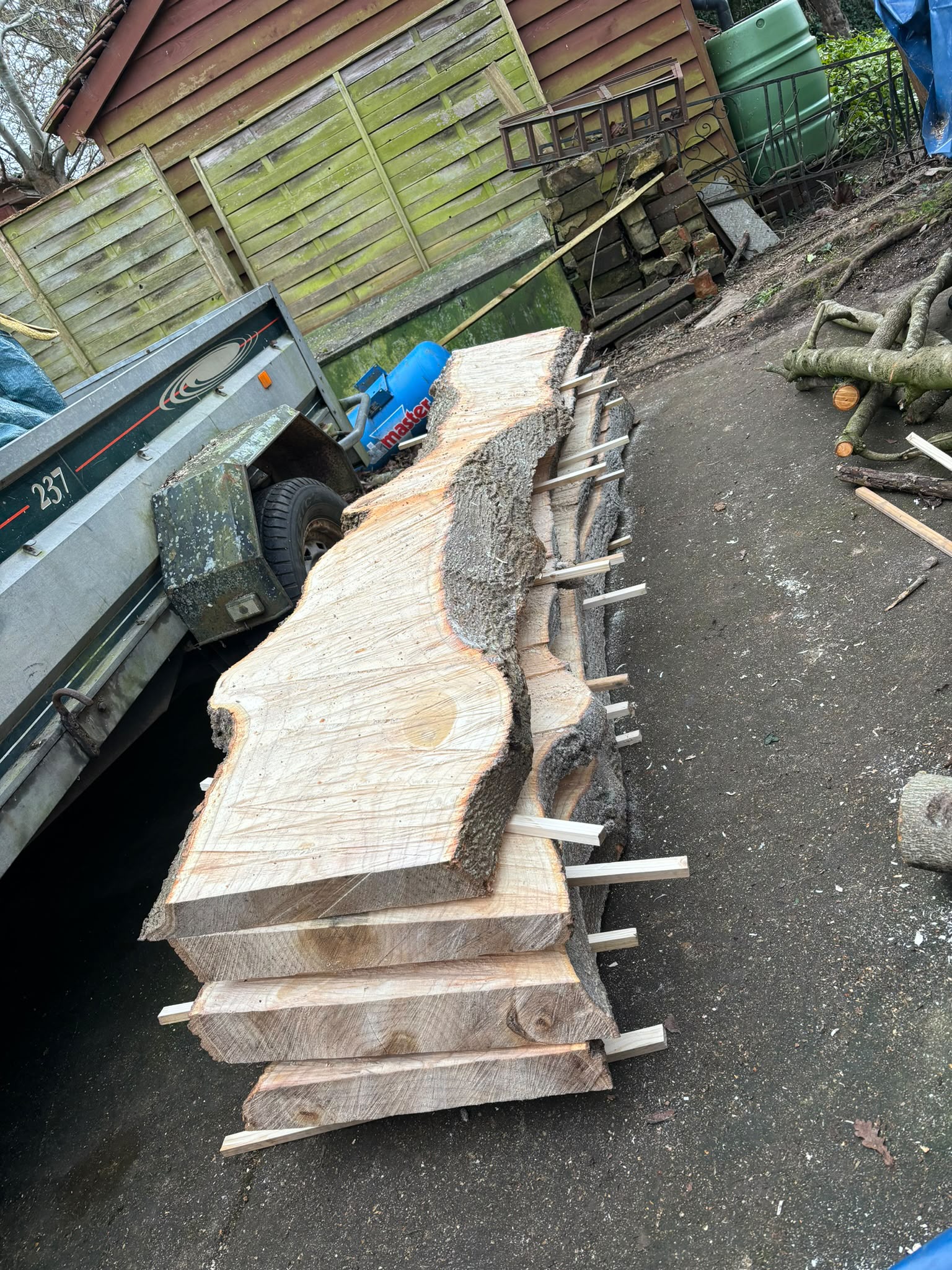 Tree surgery work photo 134