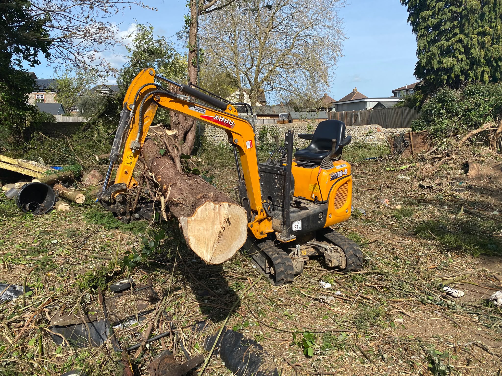 Tree surgery work photo 177