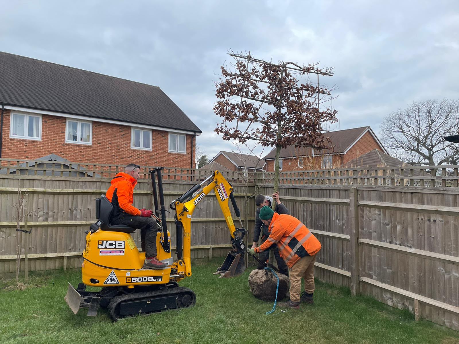 Tree surgery work photo 64