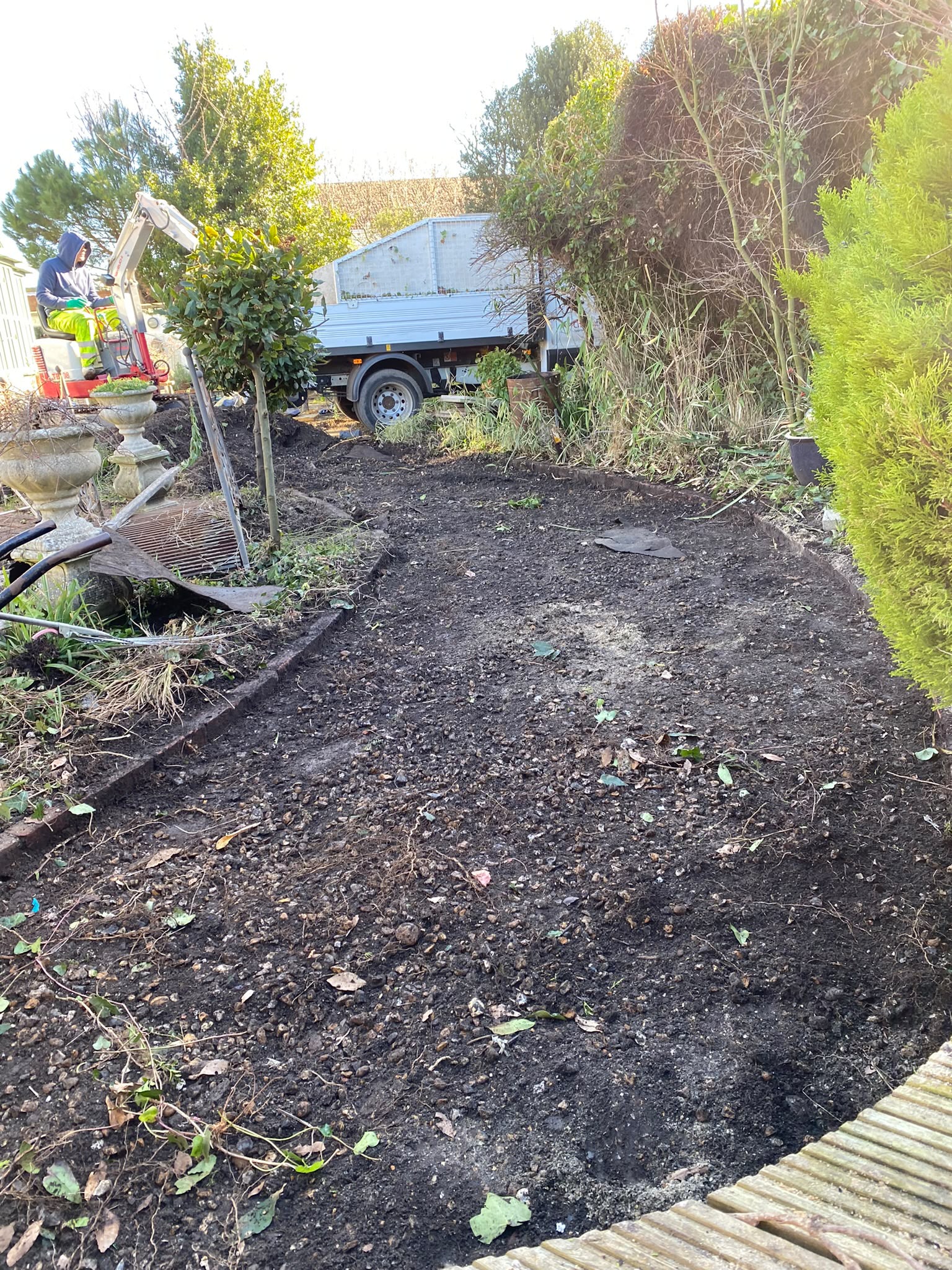 Tree surgery work photo 47