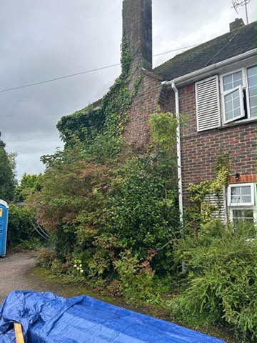 Tree surgery work photo 129