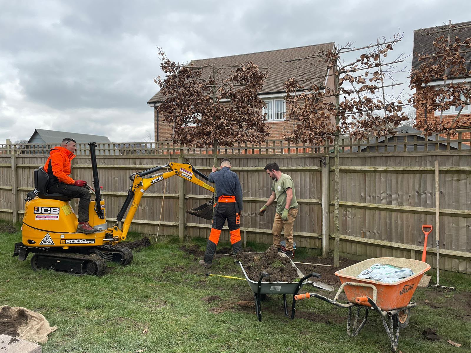 Tree surgery work photo 66