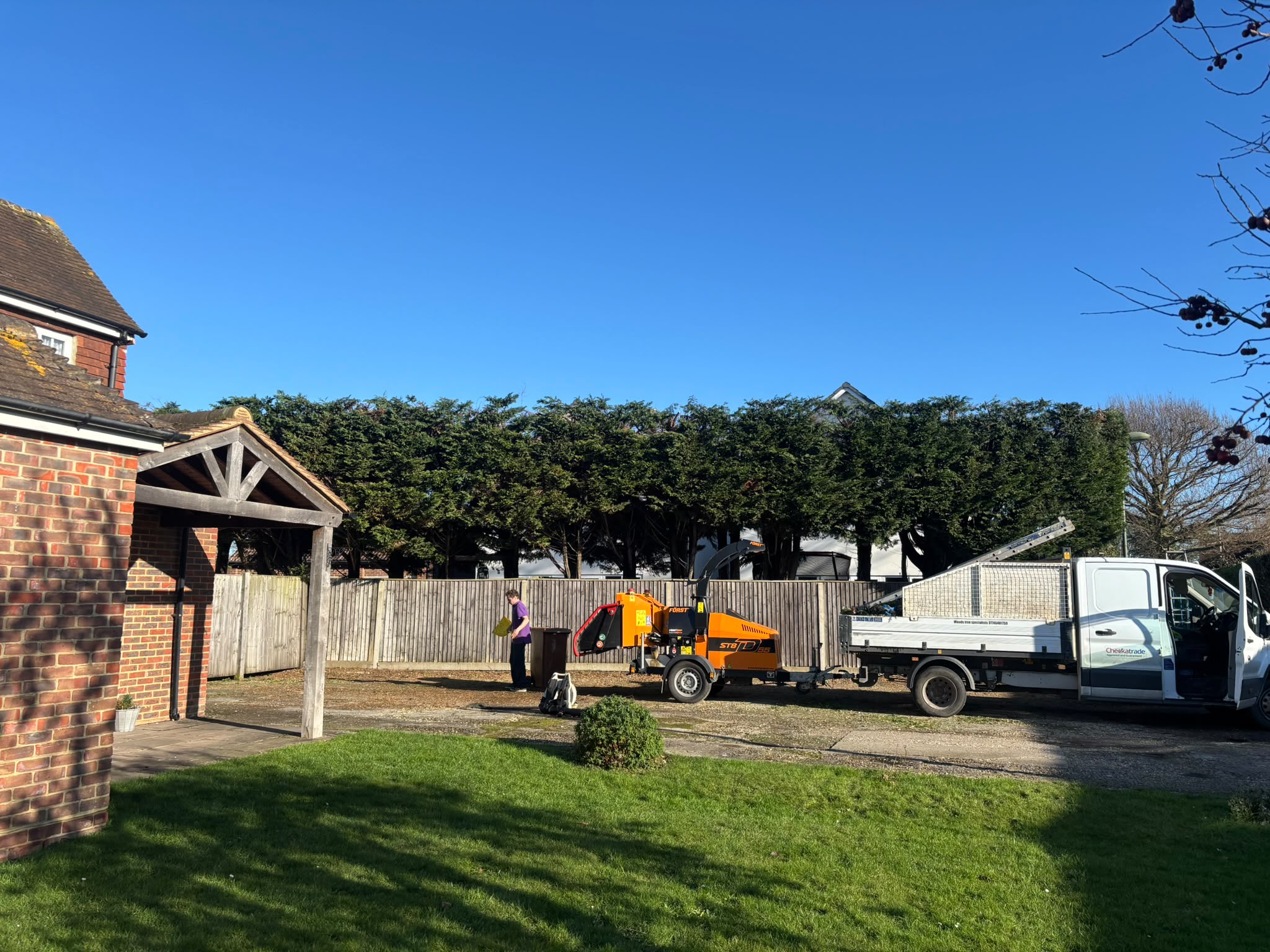Tree surgery work photo 198