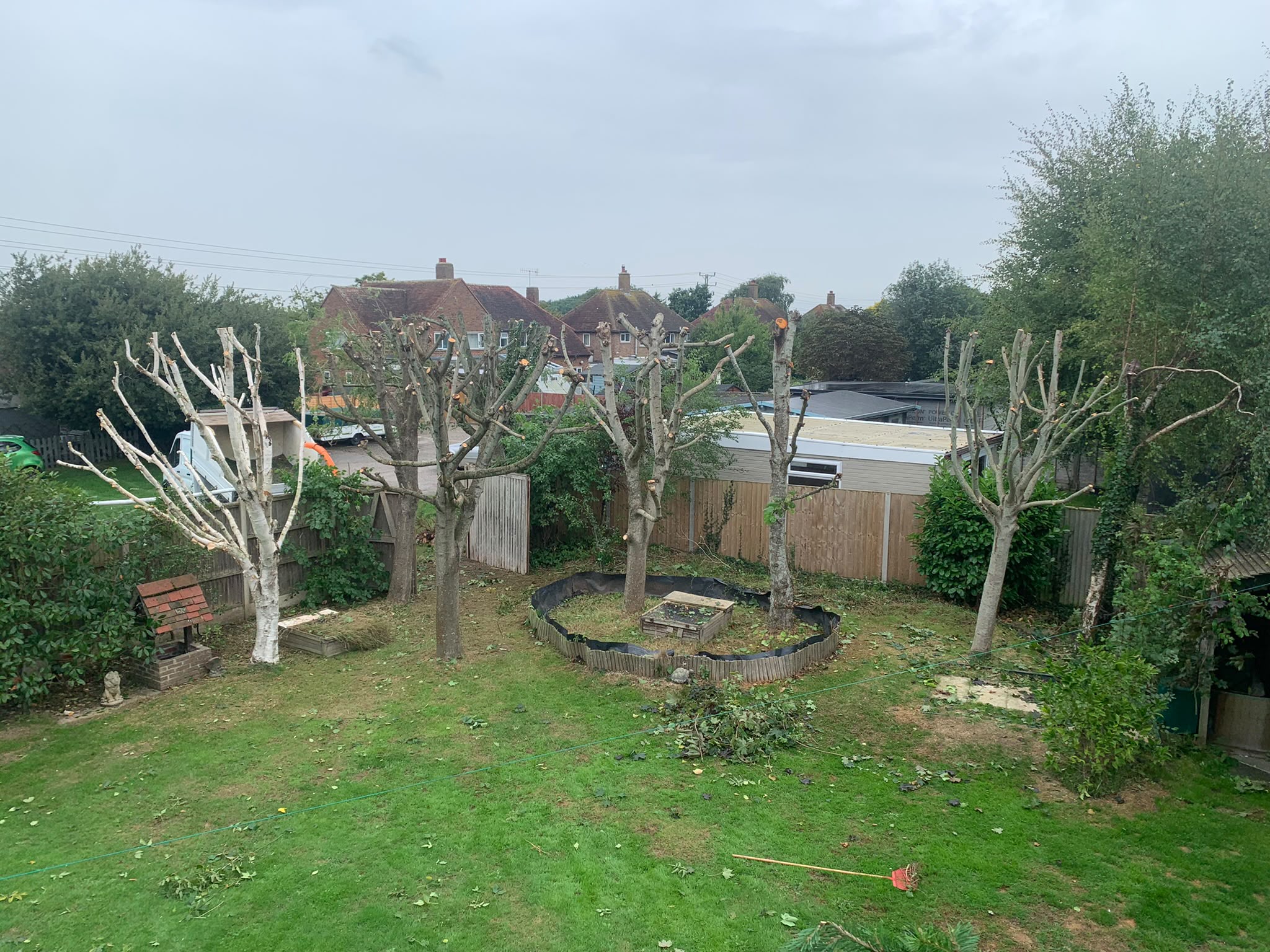 Tree surgery work photo 15