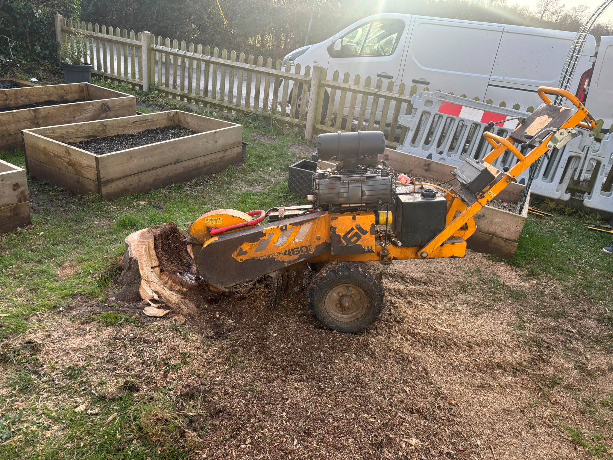 Tree surgery work photo 196