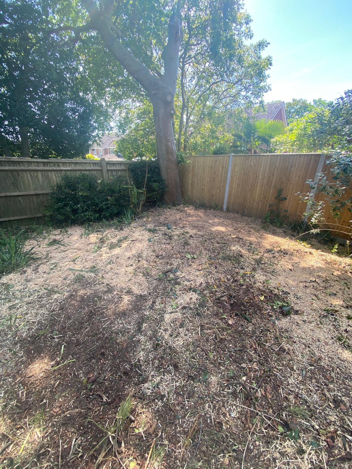 Tree surgery work photo 5