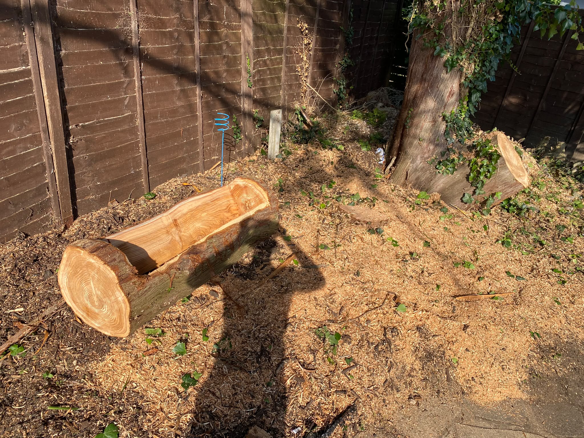 Tree surgery work photo 87