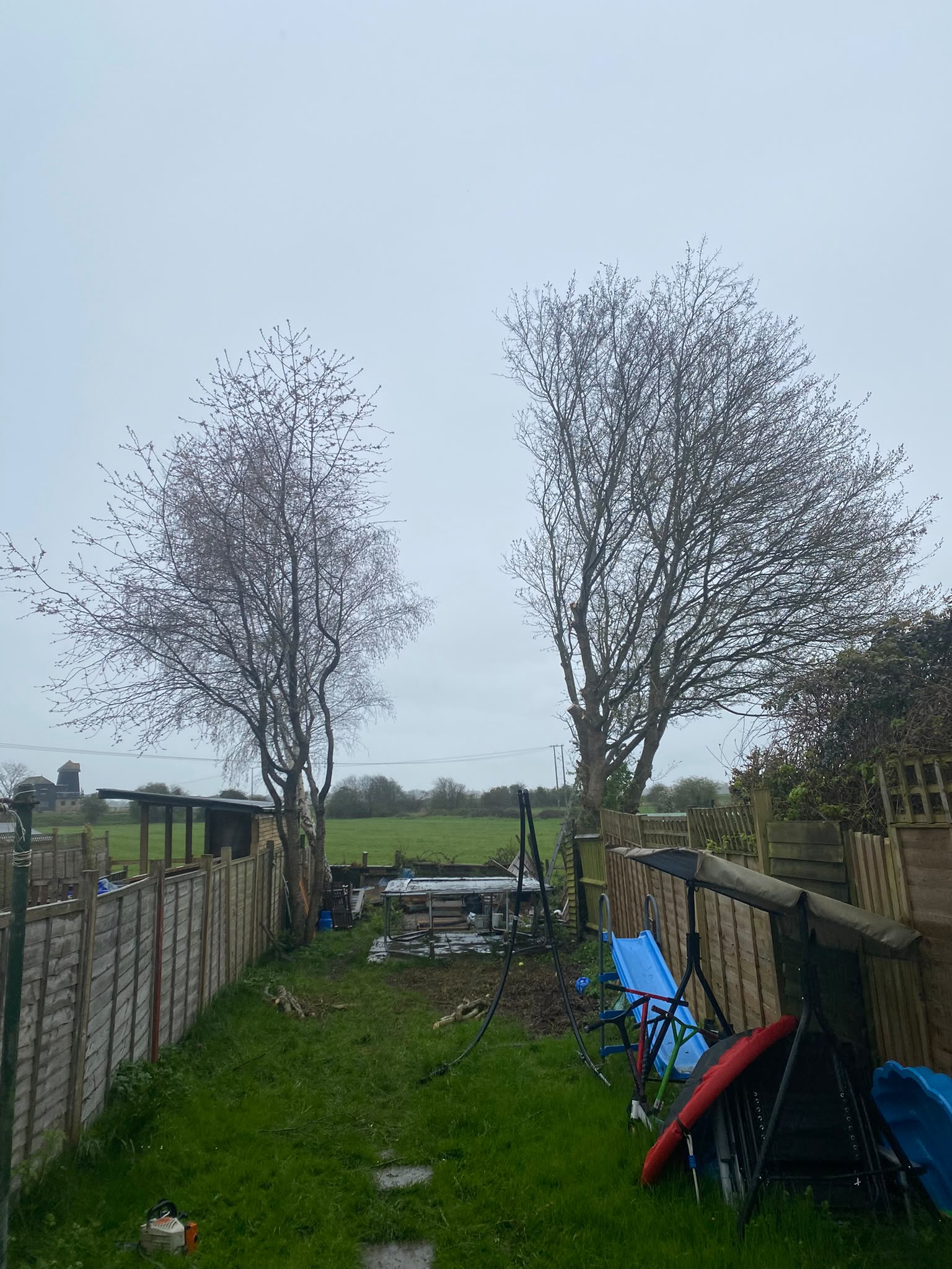 Tree surgery work photo 81
