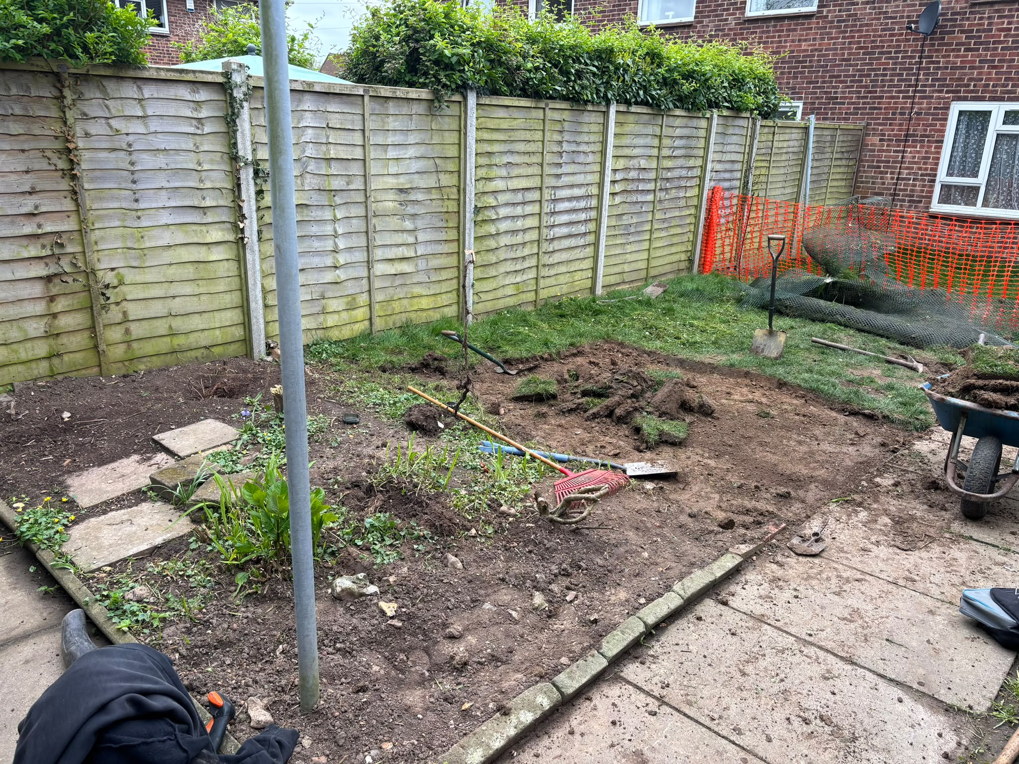 Tree surgery work photo 118
