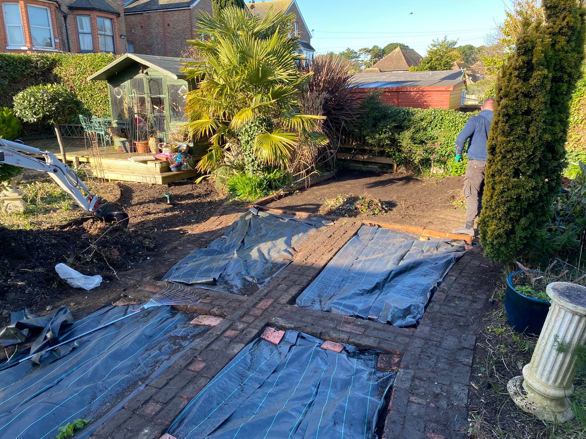 Tree surgery work photo 44