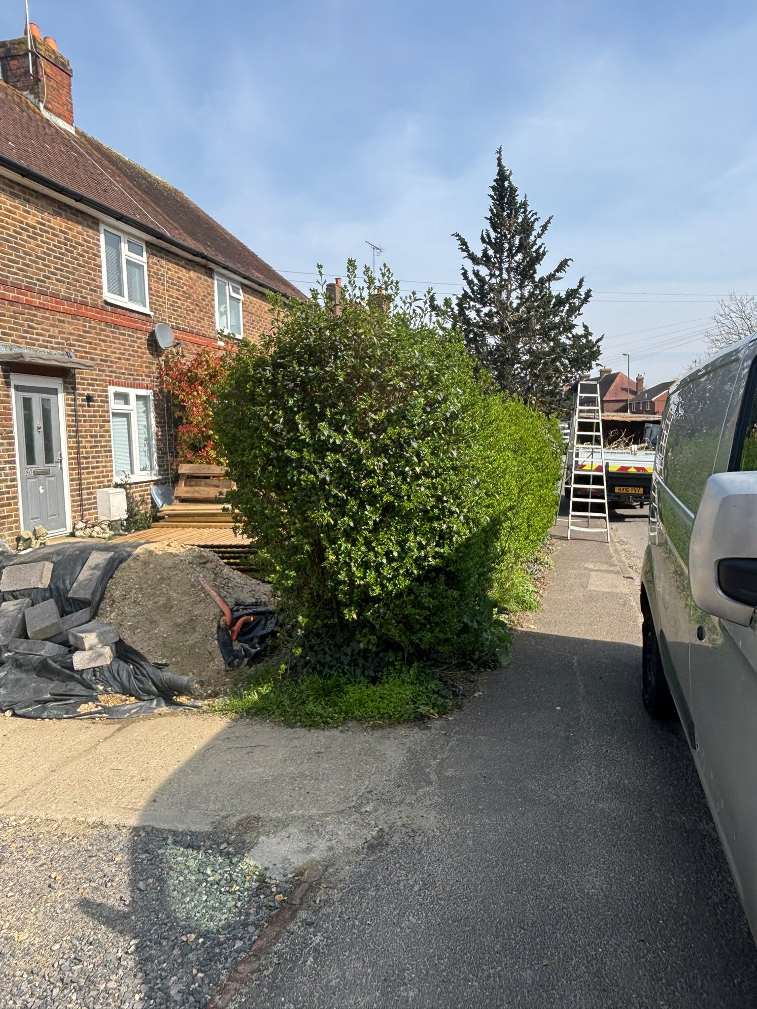 Tree surgery work photo 174