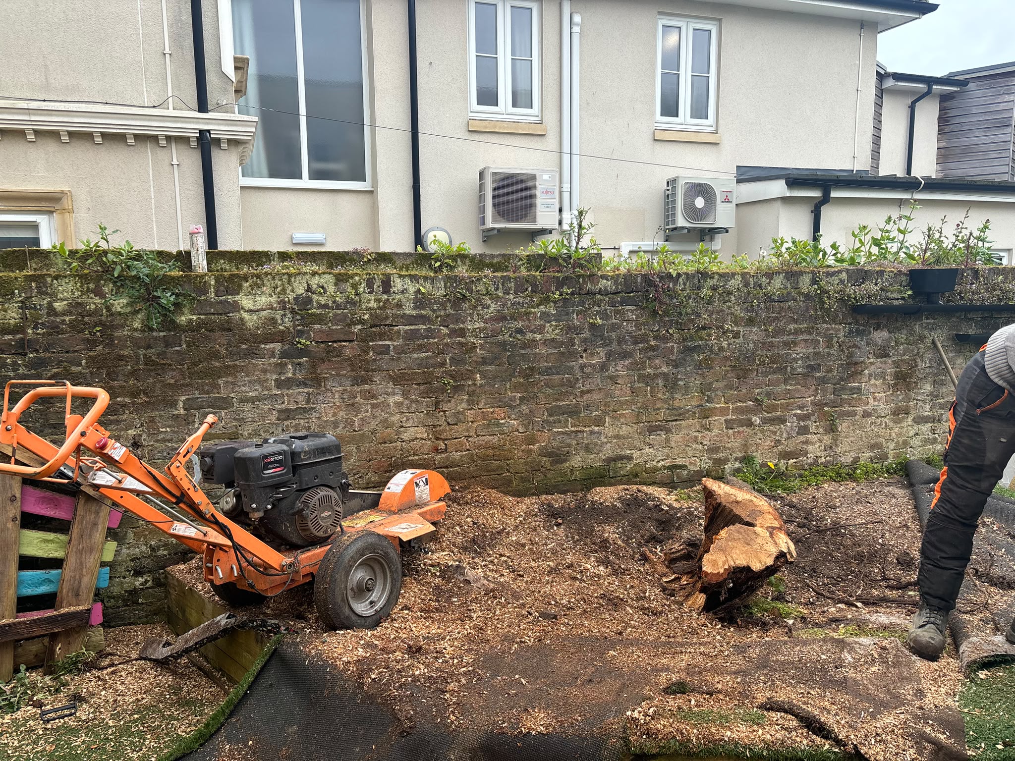 Tree surgery work photo 123