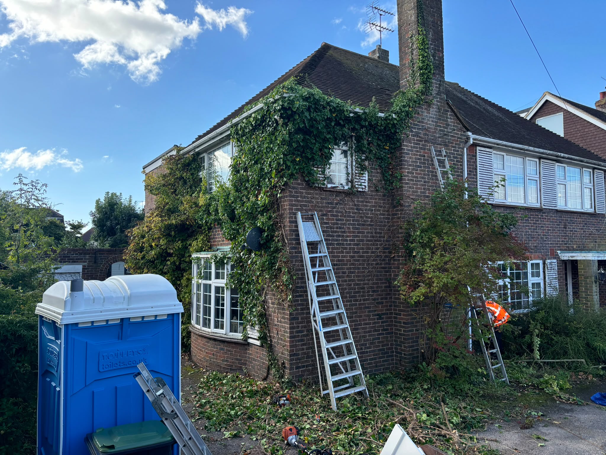 Tree surgery work photo 141